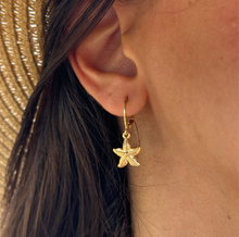 Load image into Gallery viewer, Paraíso Earrings
